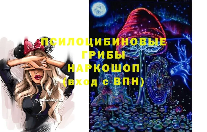 Псилоцибиновые грибы Magic Shrooms  Верея 